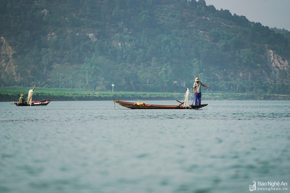 Sông Lam nước xanh phẳng lặng, không chỉ là một cảnh đẹp của Nghệ An mà còn gắn với đời sống sinh kế của nhiều thế hệ con người. Bức tranh cuộc sống nên thơ, êm đềm đã đi vào nhiều bài thơ, bài hát về xứ Nghệ. Ảnh: Trung Hà